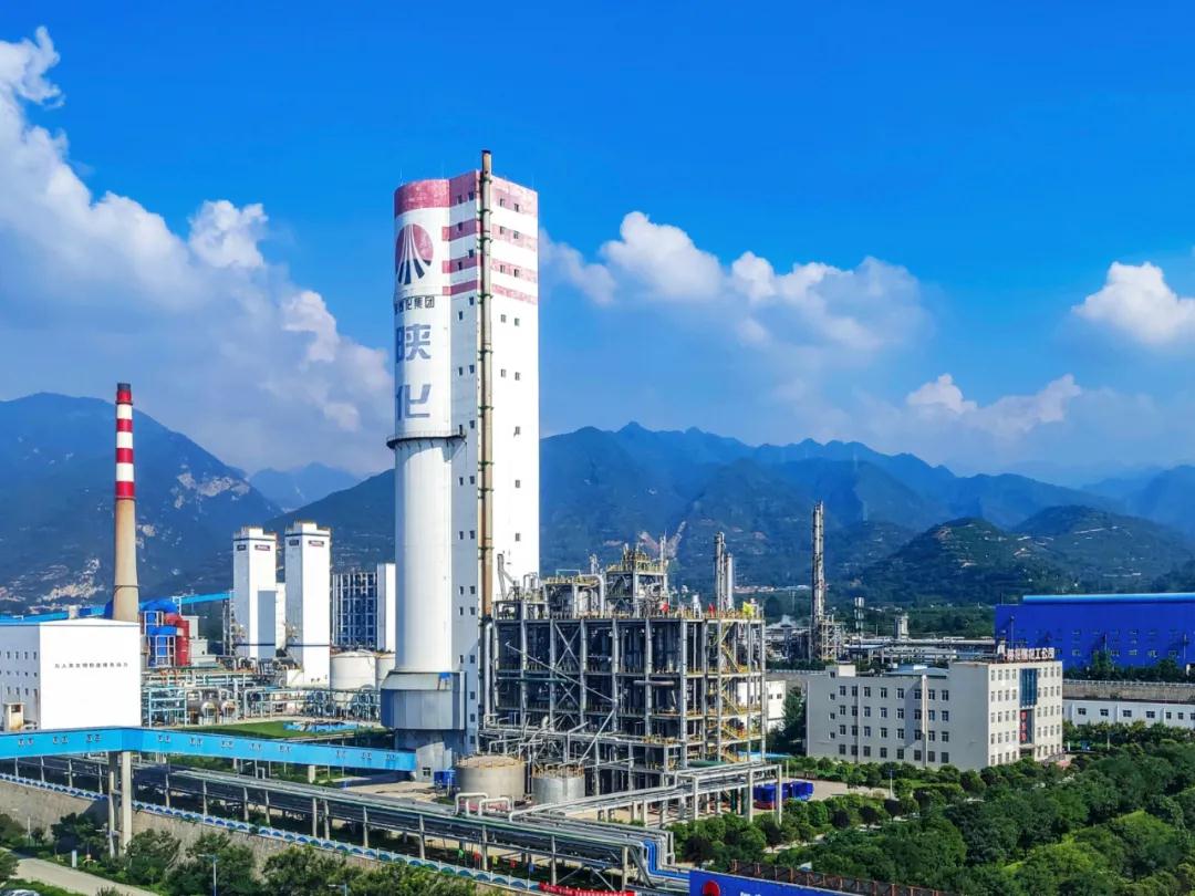 1637648229621282.jpeg 1637648229621282.jpeg