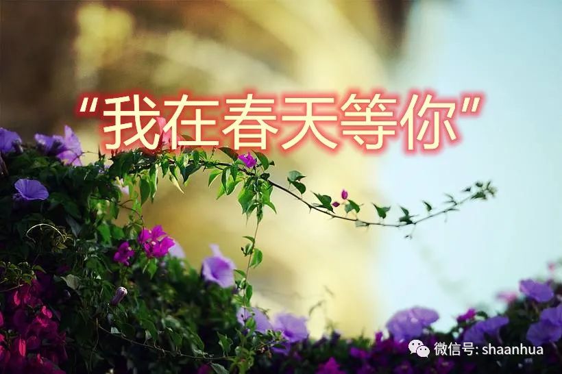 微信图片_20220308174222.jpg