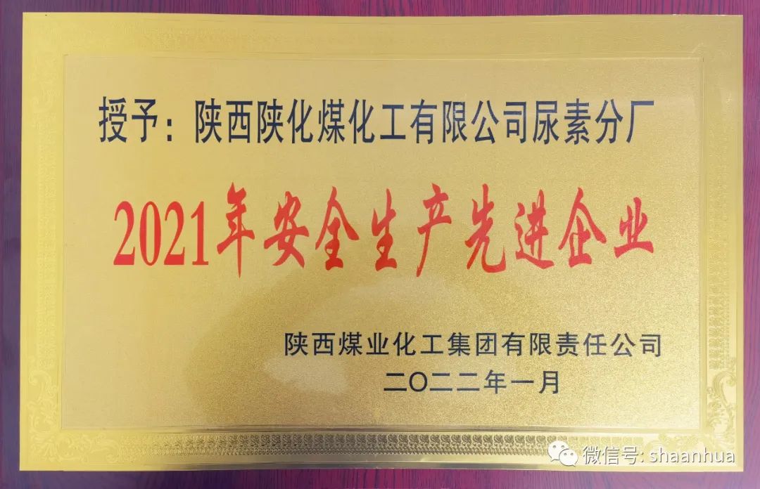 1647829033912236.jpeg 1647829033912236.jpeg