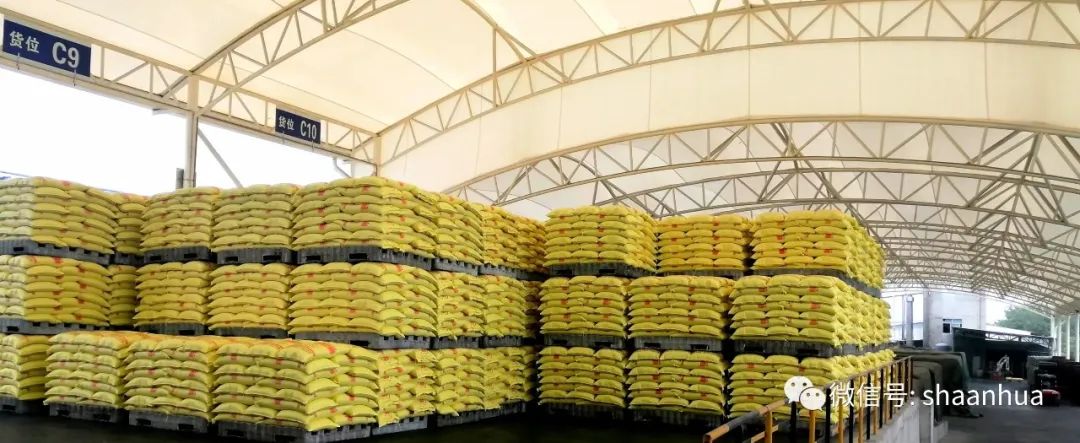 1663894782550922.jpeg 1663894782550922.jpeg