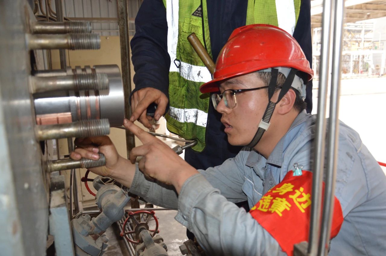 1699863638630509.jpeg 1699863638630509.jpeg